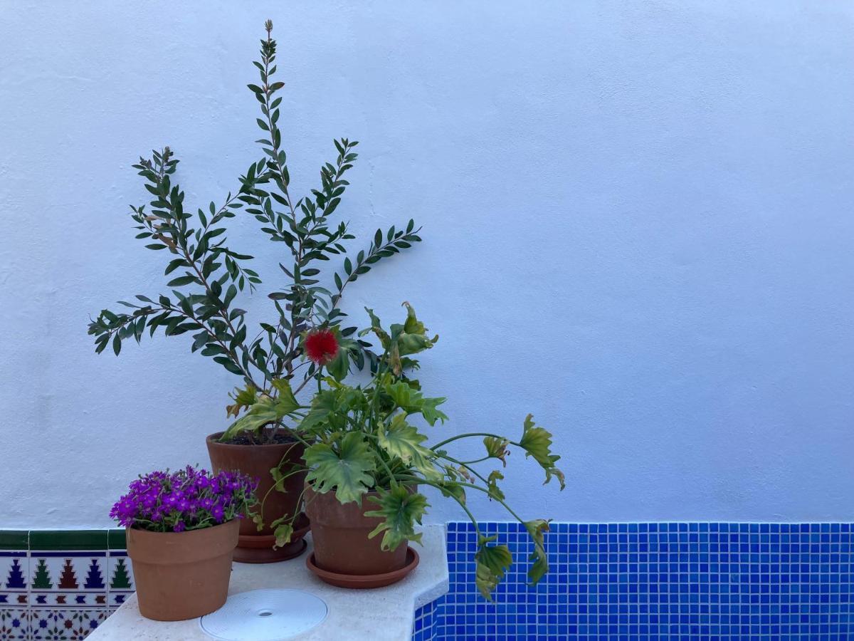 Casa Clemente 32, Private House With Plunge Pool Leilighet Málaga Eksteriør bilde