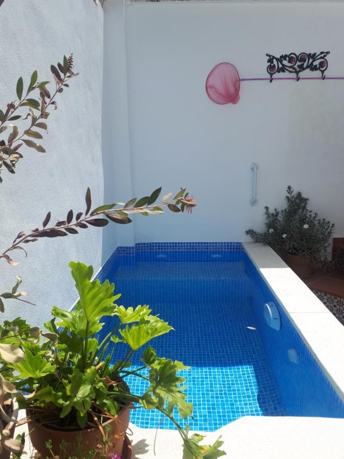 Casa Clemente 32, Private House With Plunge Pool Leilighet Málaga Eksteriør bilde