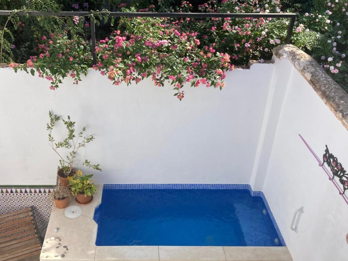 Casa Clemente 32, Private House With Plunge Pool Leilighet Málaga Eksteriør bilde