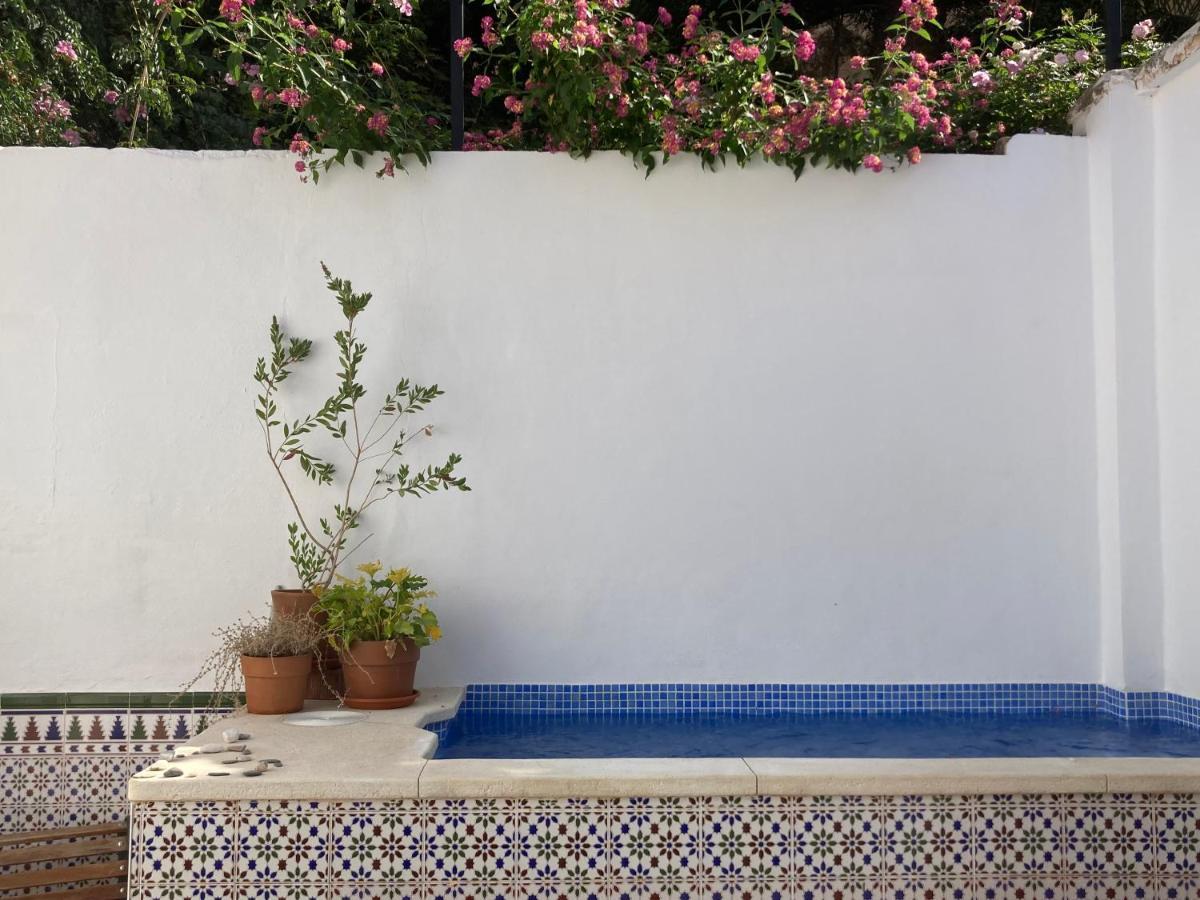 Casa Clemente 32, Private House With Plunge Pool Leilighet Málaga Eksteriør bilde